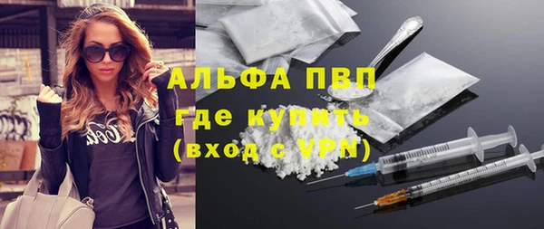 стаф Вязьма