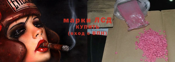 стаф Вязьма