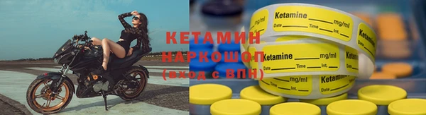 стаф Вязьма