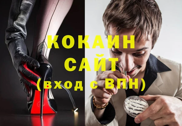 стаф Вязьма