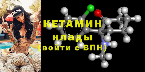 стаф Вязьма